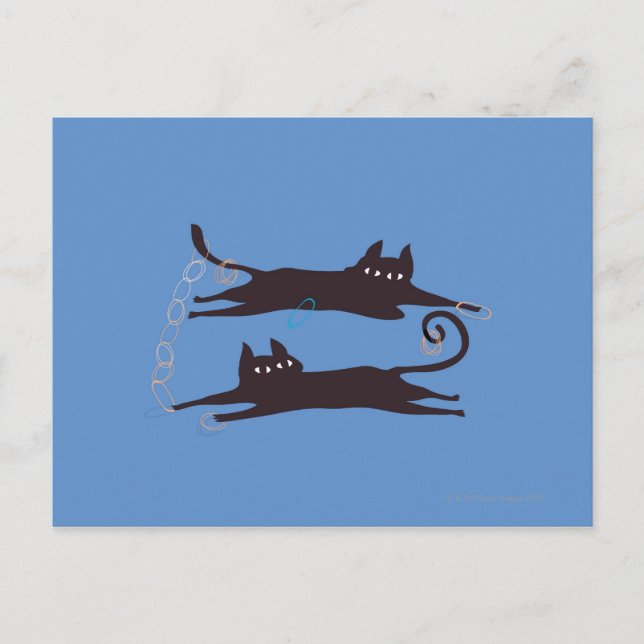 Two Cats Playing Postcard (Front)