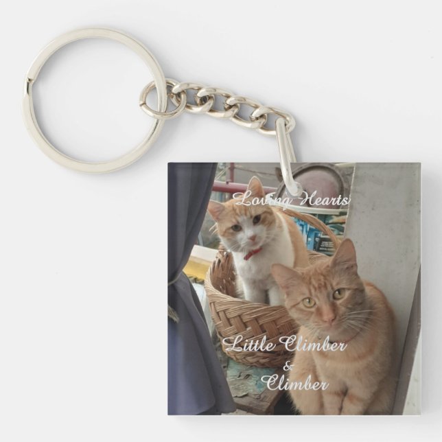 Two Cats , Replaceable Photo And Names,  Keychain (Front)