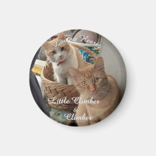 Two Cats , Replaceable Photo And Names,  Magnet