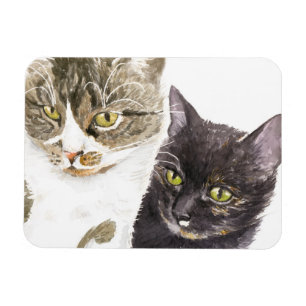 Two cats - tabby and tortie magnet