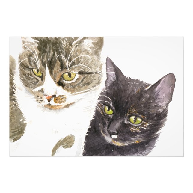 Two cats - tabby and tortie photo print (Front)
