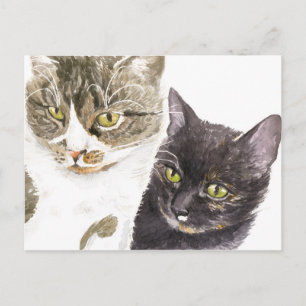 Two cats - tabby and tortie postcard