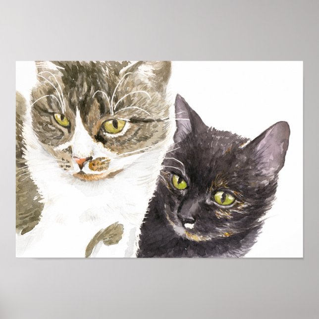 Two cats - tabby and tortie poster (Front)