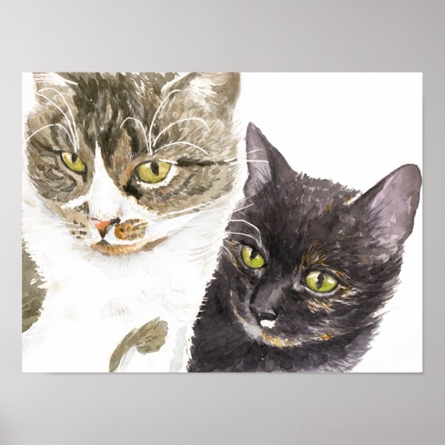 Two cats - tabby and tortie poster (Front)
