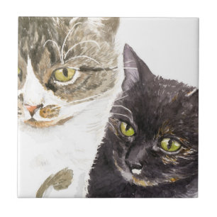 Two cats - tabby and tortie tile