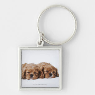Two Cavalier King Charles Spaniel puppies Keychain