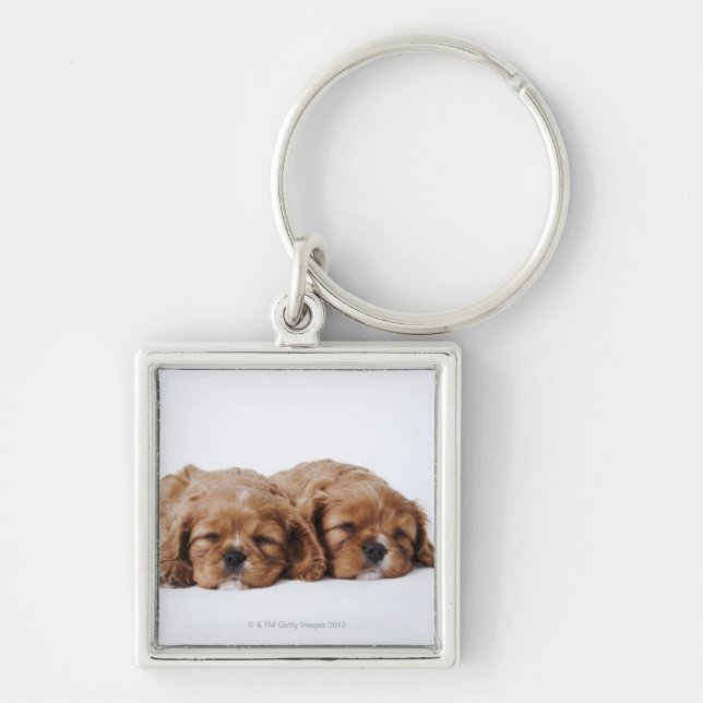 Two Cavalier King Charles Spaniel puppies Keychain (Front)