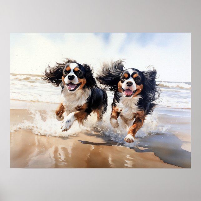 Two Cavalier King Charles Spaniels Poster (Front)