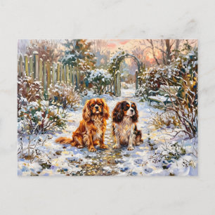 Two Cavalier Spaniels on Winter Path Postcard
