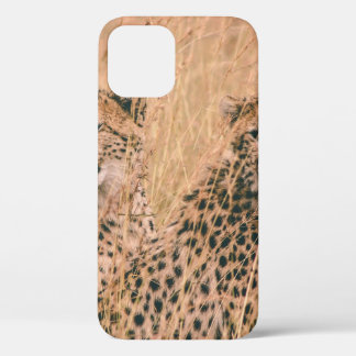 TWO CHEETAH SITTING ON FIELD AT DAYTIME iPhone 12 CASE