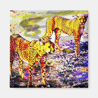 Two Cheetahs Magnet
