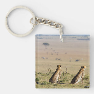 Two cheetahs on the look out keychain