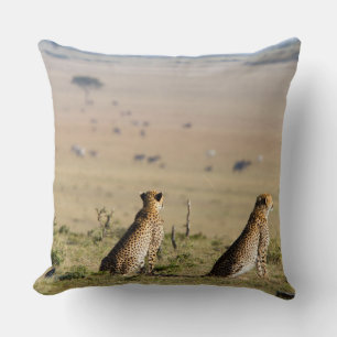Two cheetahs on the look out throw pillow