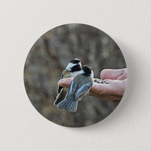 Two Chickadees on a Hand 2 Inch Round Button