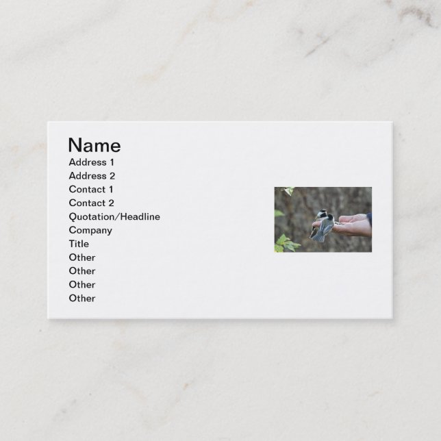 Two Chickadees on a Hand Business Card (Front)