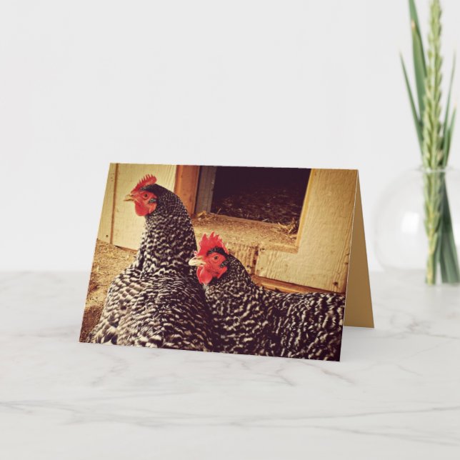 Two Chickens Cuddling Card (Front)