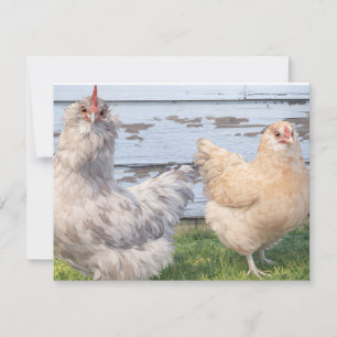 Two Chickens Cute Farm Note Cards