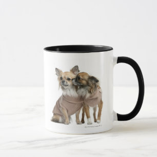 Two Chihuahuas dressed (2 years old) Mug