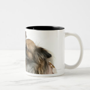 Two Chihuahuas dressed (2 years old) Two-Tone Coffee Mug