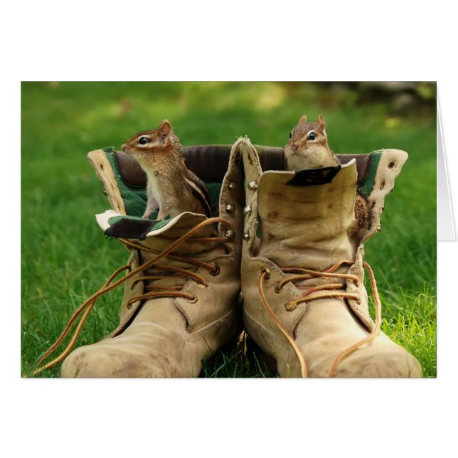 two chipmunks in work boots (Front Horizontal)