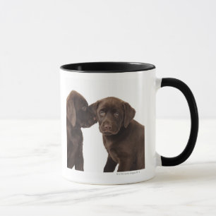Two chocolate Labrador Retriever Puppies Mug