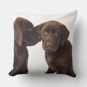 Two chocolate Labrador Retriever Puppies Throw Pillow