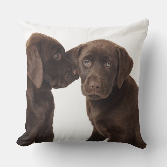 Two chocolate Labrador Retriever Puppies Throw Pillow (Front)