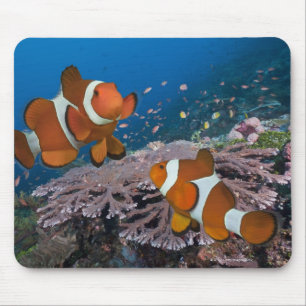 Two Clownfish Mouse Pad