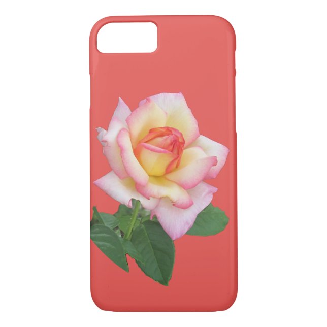 Two-colour Pink Rose Case-Mate iPhone Case (Back)