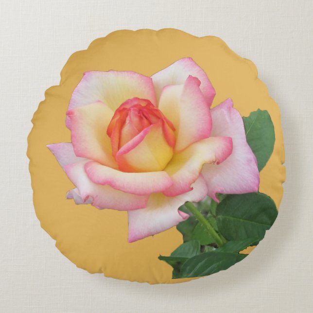Two-colour Pink Rose Photograph Round Pillow (Front)