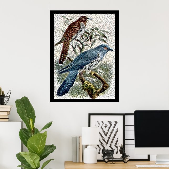 Two Coloured Cuckoo Birds in Textured Poster (Home Office)