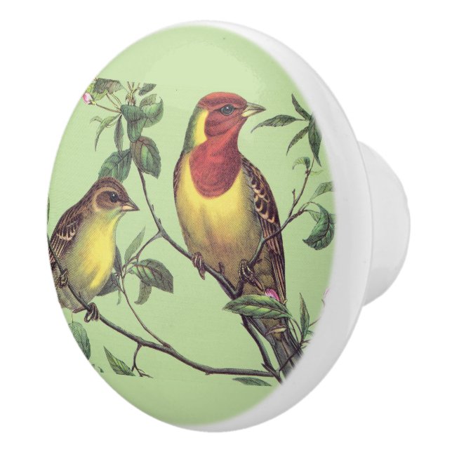 Two Colourful Birds Ceramic Knob (Right)