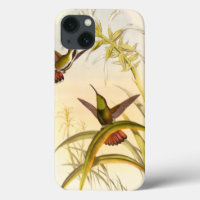 Two Colourful Hummingbirds Aiming for Same Flower