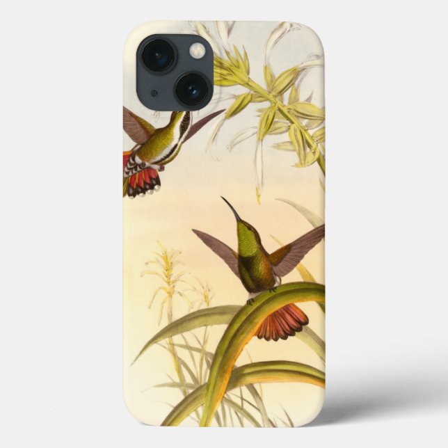 Two Colourful Hummingbirds Aiming for Same Flower Case-Mate iPhone Case (Back)