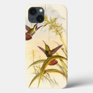 Two Colourful Hummingbirds Aiming for Same Flower iPhone 13 Case