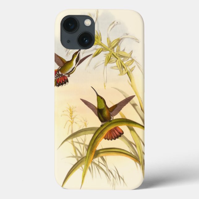 Two Colourful Hummingbirds Aiming for Same Flower Case-Mate iPhone Case (Back)