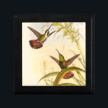 Two Colourful Hummingbirds Aiming for Same Flower Gift Box<br><div class="desc">Artist John Gould was passionate about birds. In this coloured drawing,  the two hummingbirds and the flower are represented beautifully. The details in this colourful fine art will delight any art lover.</div>