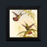 Two Colourful Hummingbirds Aiming for Same Flower Gift Box<br><div class="desc">Artist John Gould was passionate about birds. In this coloured drawing,  the two hummingbirds and the flower are represented beautifully. The details in this colourful fine art will delight any art lover.</div>