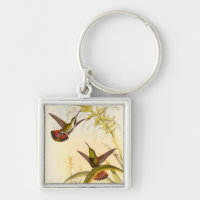 Two Colourful Hummingbirds Aiming for Same Flower