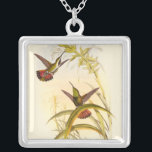 Two Colourful Hummingbirds Aiming for Same Flower Silver Plated Necklace<br><div class="desc">Artist John Gould was passionate about birds. In this coloured drawing,  the two hummingbirds and the flower are represented beautifully. The details in this colourful fine art will delight any art lover.</div>