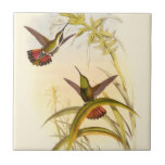 Two Colourful Hummingbirds Aiming for Same Flower Tile<br><div class="desc">Artist John Gould was passionate about birds. In this coloured drawing,  the two hummingbirds and the flower are represented beautifully. The details in this colourful fine art will delight any art lover.</div>