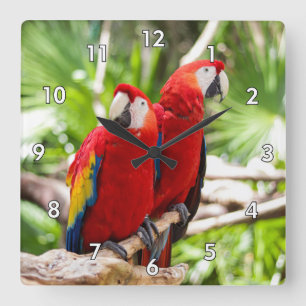 Two Colourful Parrots on a Tree Branch Square Wall Clock