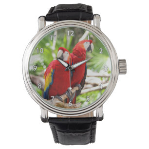 Two Colourful Parrots on a Tree Branch Watch
