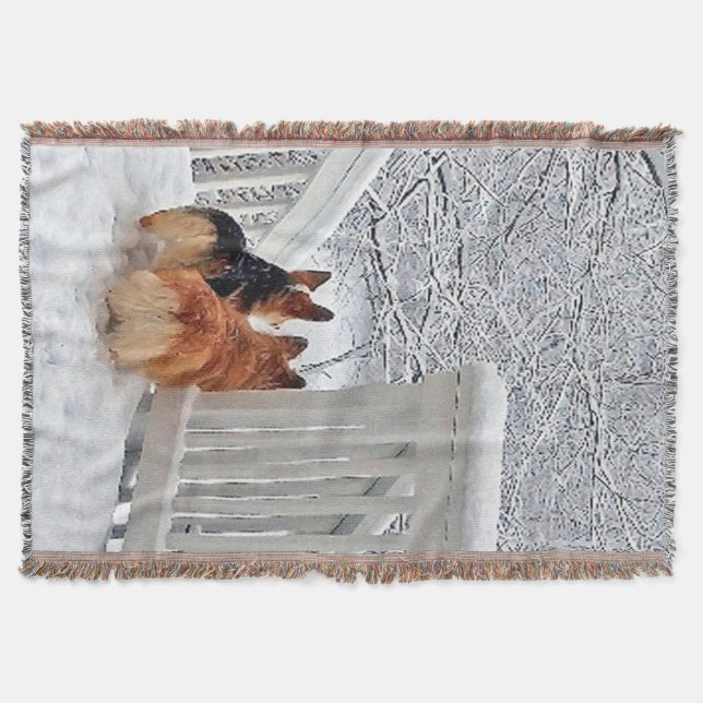 Two Corgis in the Snow Throw Blanket (Front)