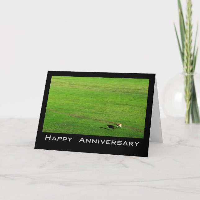 Two Cows on Panoramic Pasture Card (Front)