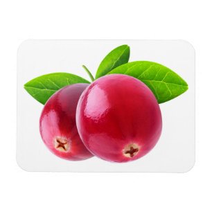 Two cranberries magnet