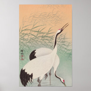 Two Cranes (1925–1936) by Ohara Koson Poster