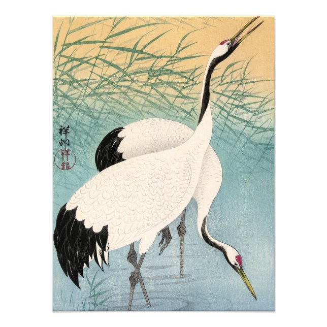 Two Cranes by Ohara Koson Photo Print (Front)