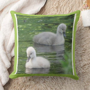 Two Cute Baby Swans Close Up Throw Pillow