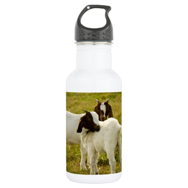 Two Cute Boer Goats 532 Ml Water Bottle (Front)